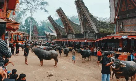 Budaya Pasubung Di Toraja Memiliki Makna Dan Tujuan