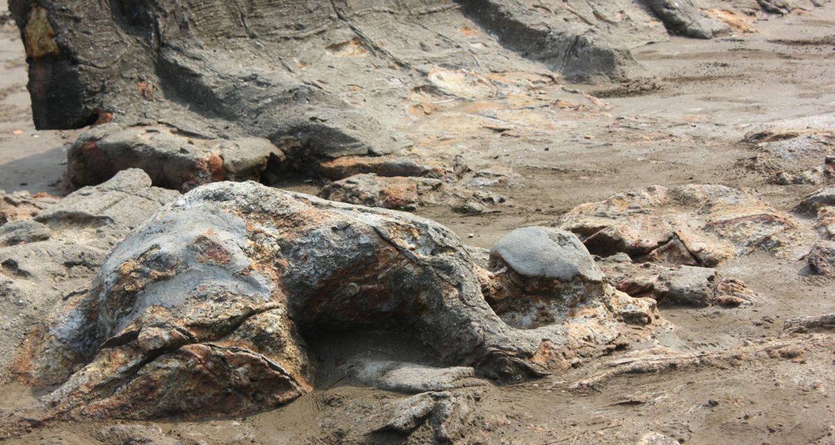 Sejarah Sumbar Dengan Cerita Rakyat Malin Kundang