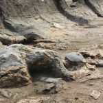 Sejarah Sumbar Dengan Cerita Rakyat Malin Kundang