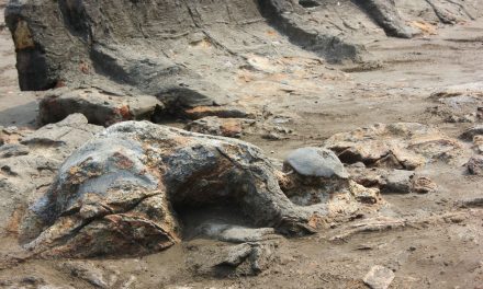 Sejarah Sumbar Dengan Cerita Rakyat Malin Kundang