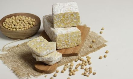 Fermentasi Bahan Kedelai Membuat Bahan Makanan Tempe