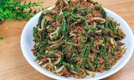 Makanan Sumatera Utara Yang Khas Yaitu Anyang