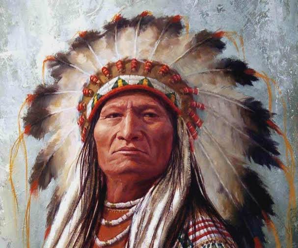 Wilayah Amerika Memiliki Suku Asli Yaitu APACHE