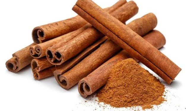 Sebuah Bahan Rempah Alami Kayu Manis