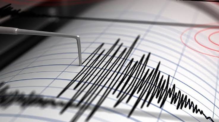 Perangkat Pendeteksi Seismograf Untuk Beberapa Penggunaan